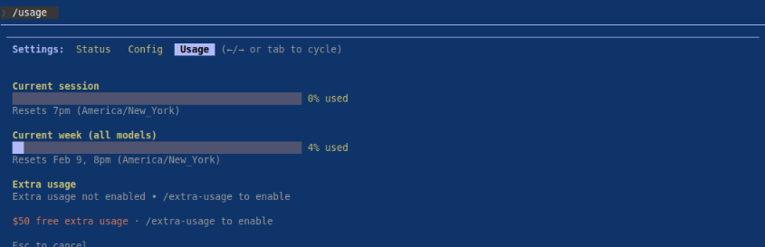 Claude Usage Command