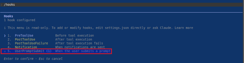 Claude Hook Options