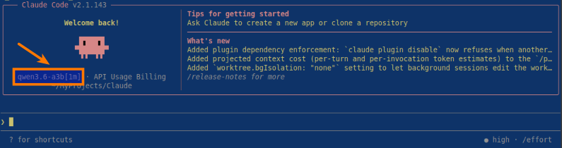 Claude User Prompt
