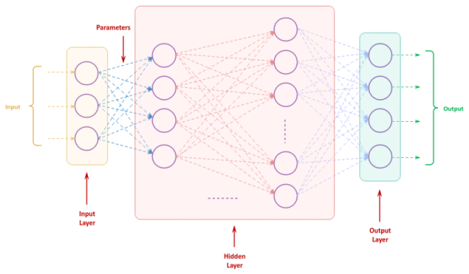 Feed Forward Network