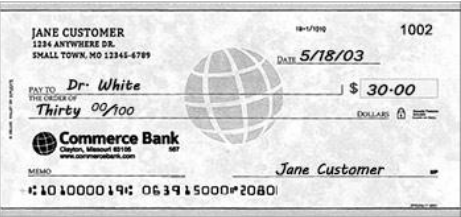 Llama.cpp Bank Check