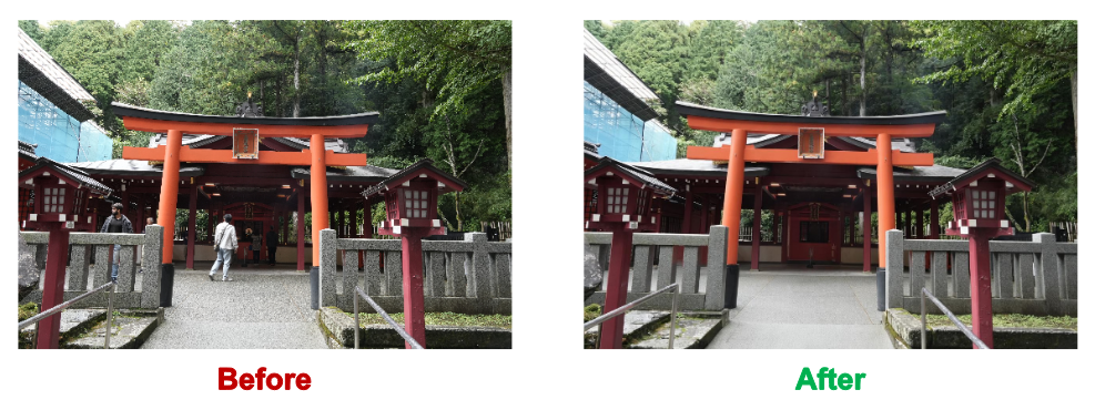 Torii Gate