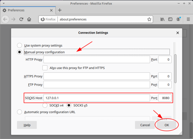 Browser SOCKS Settings