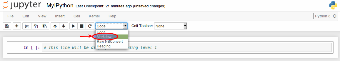 Notebook Markdown Cell